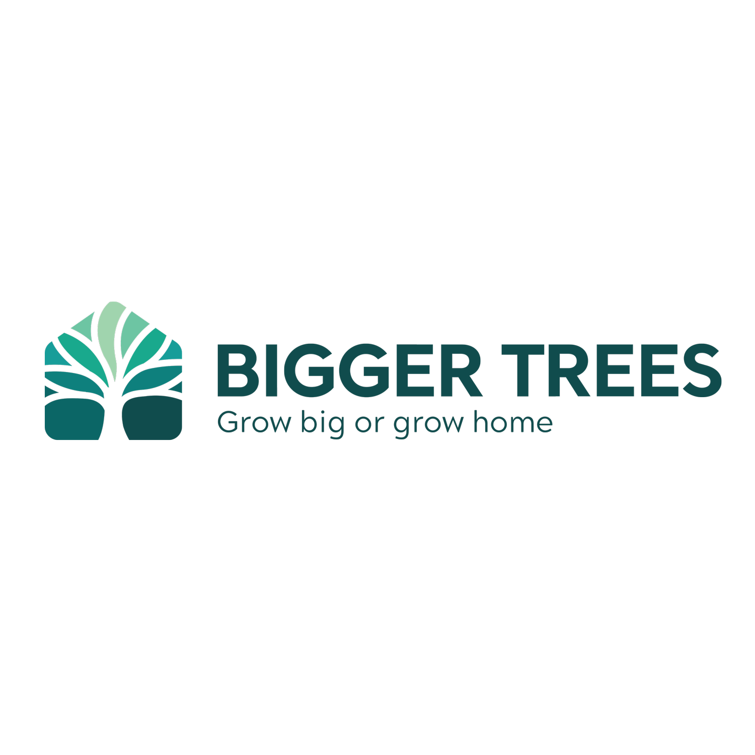 Logo Bigger Trees