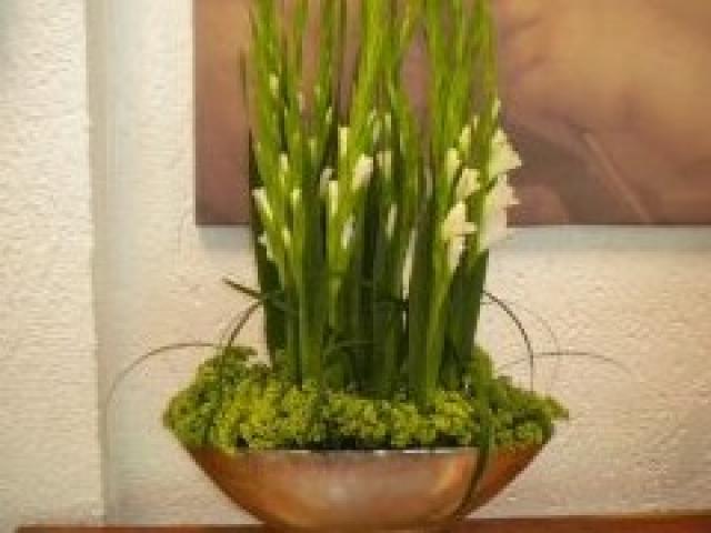 Wilheine Blumenbindekunst in Hannover