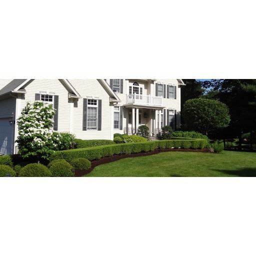 D Marcello Landscaping Logo