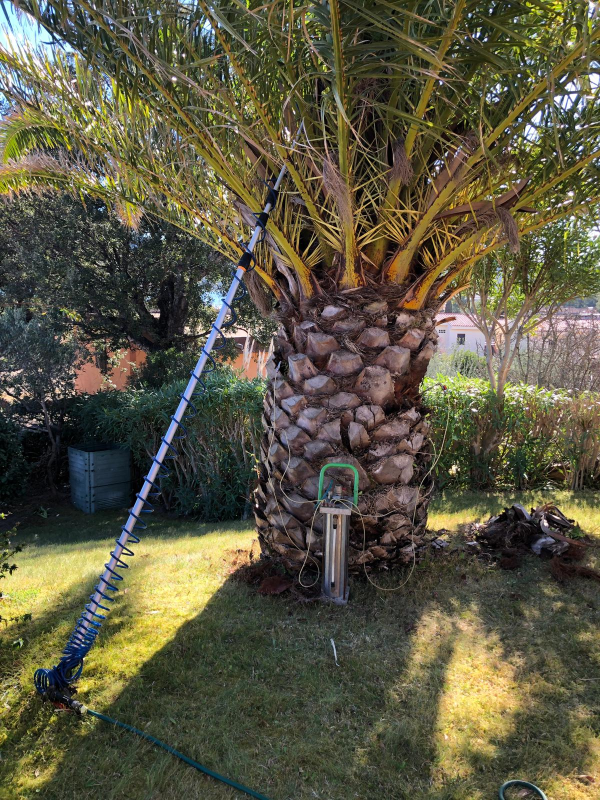 Images Disinfestazioni Ambientali Bachisio Carta