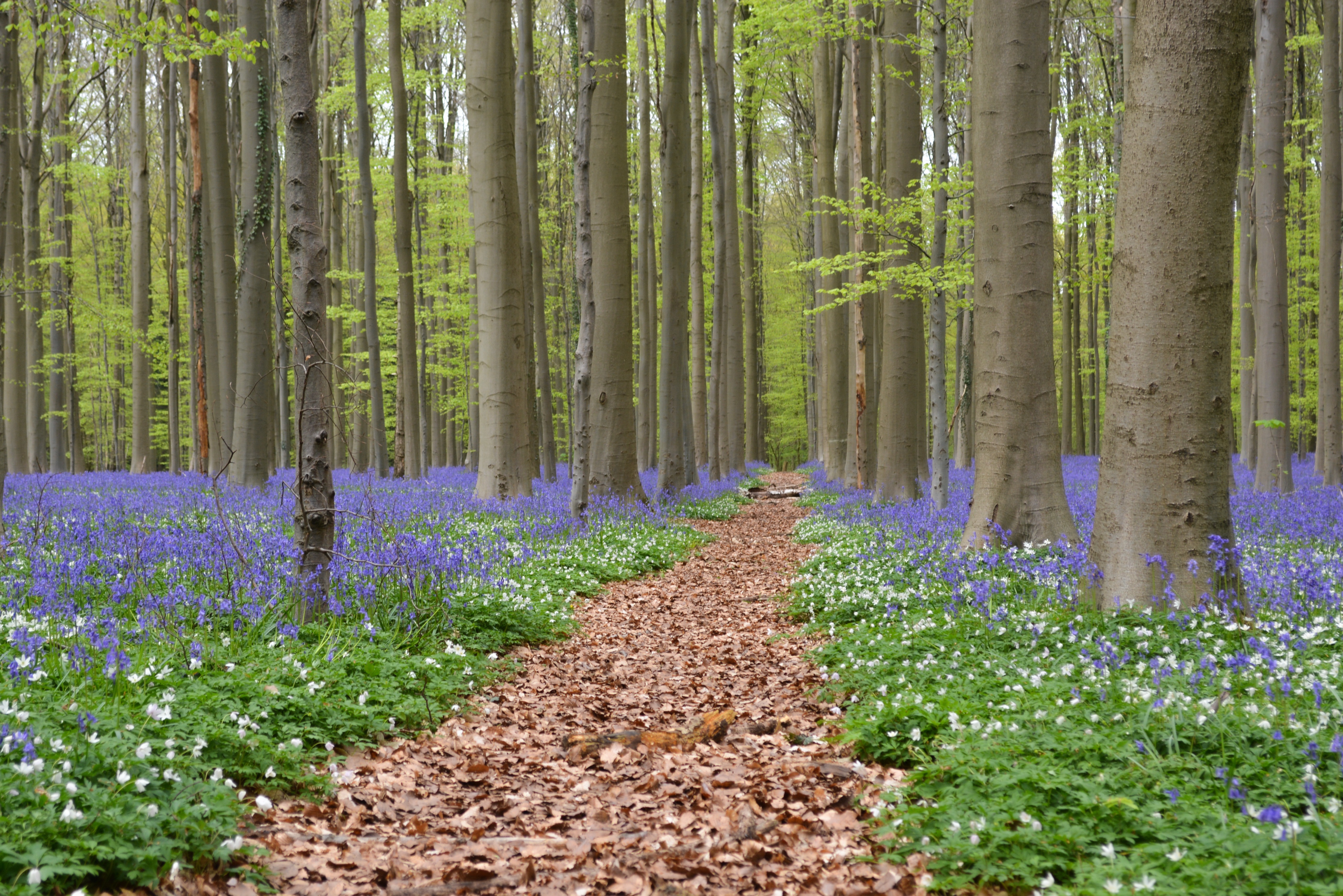 Bestattungen Herzog, Lüneburger Straße 29 in Winsen (Luhe)