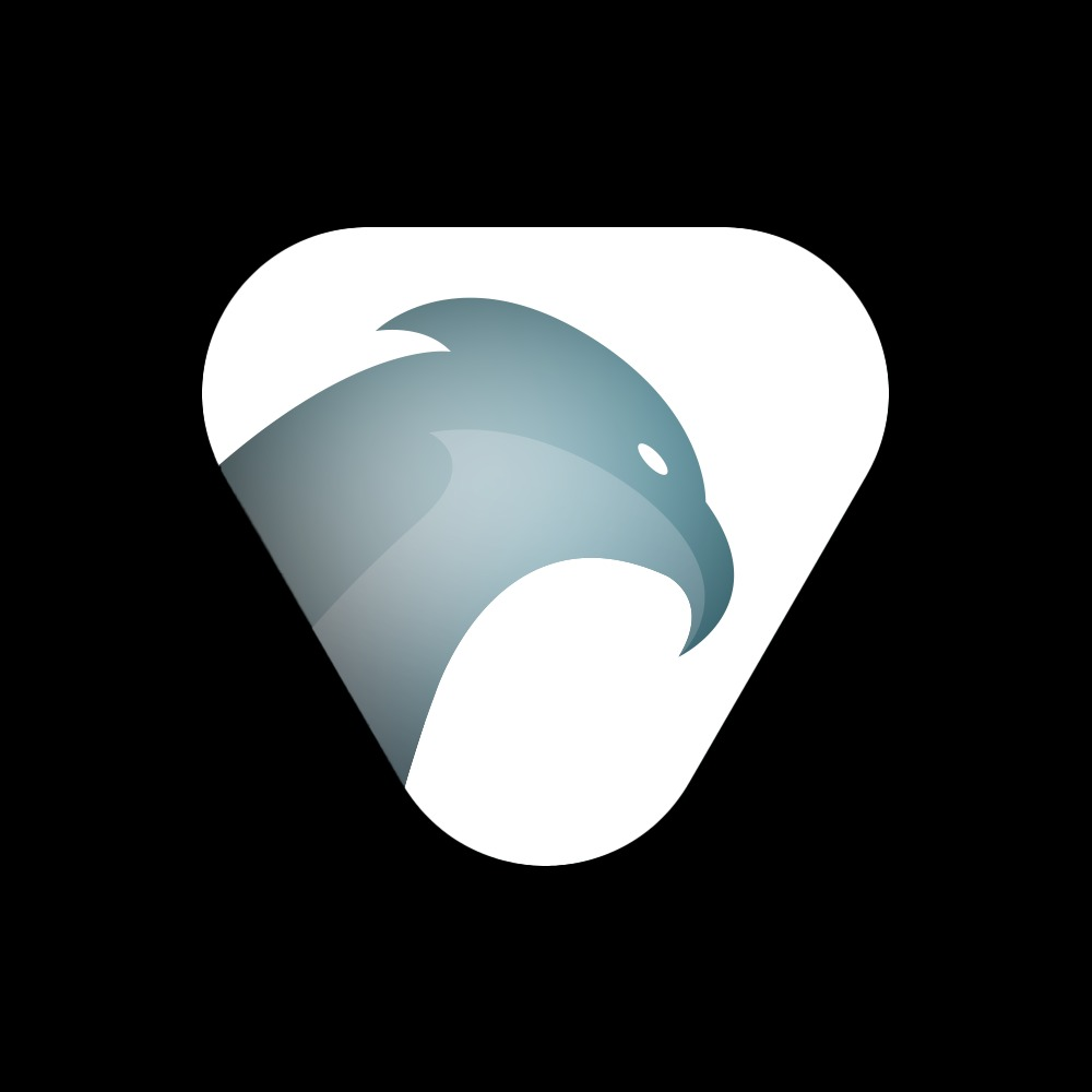 Buzzard-Webdesign in Erlensee - Logo