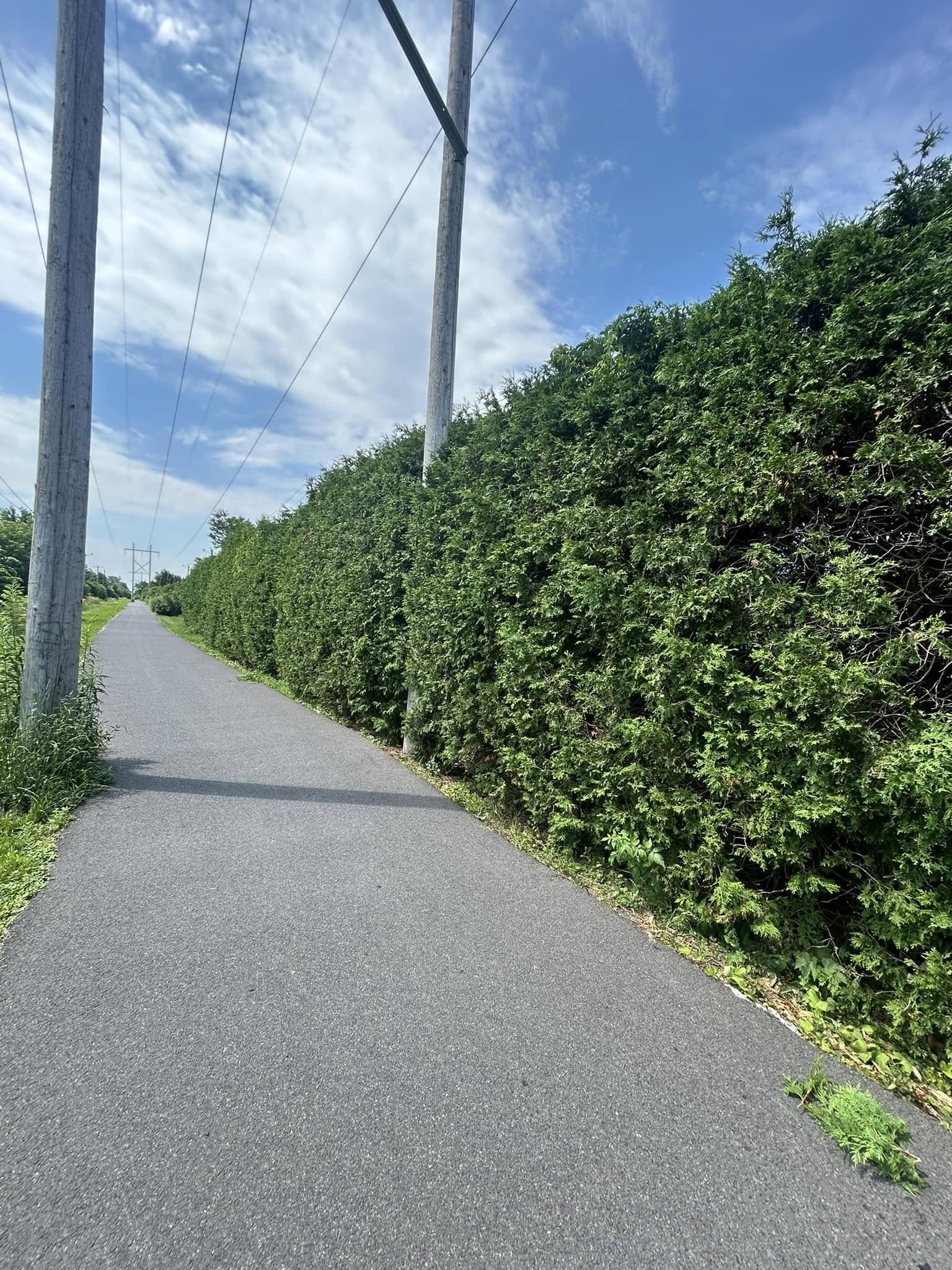 Images Taille de haie EB - Entretien de haie Saint-Hyacinthe