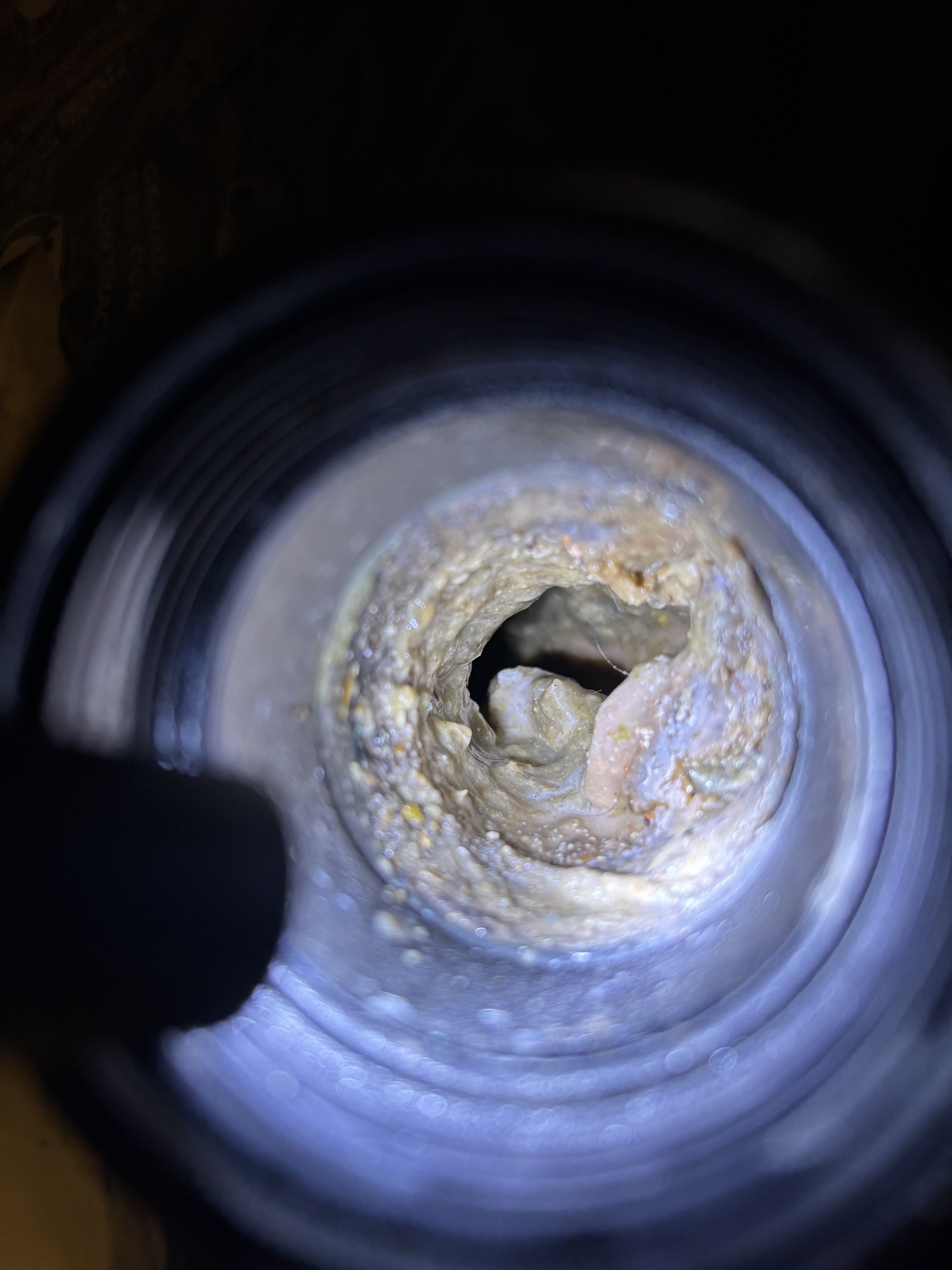 Images DrainCam Plumbing