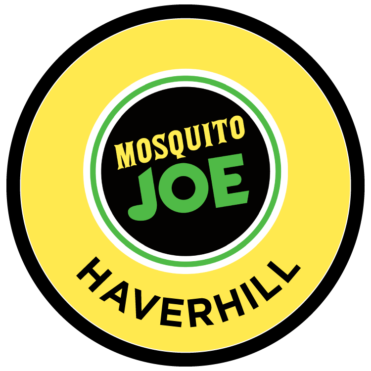 Mosquito Joe of Haverhill