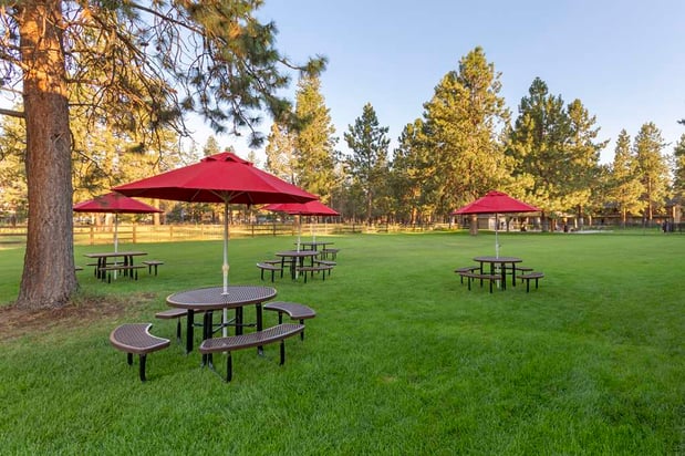 Images Best Western Ponderosa Lodge