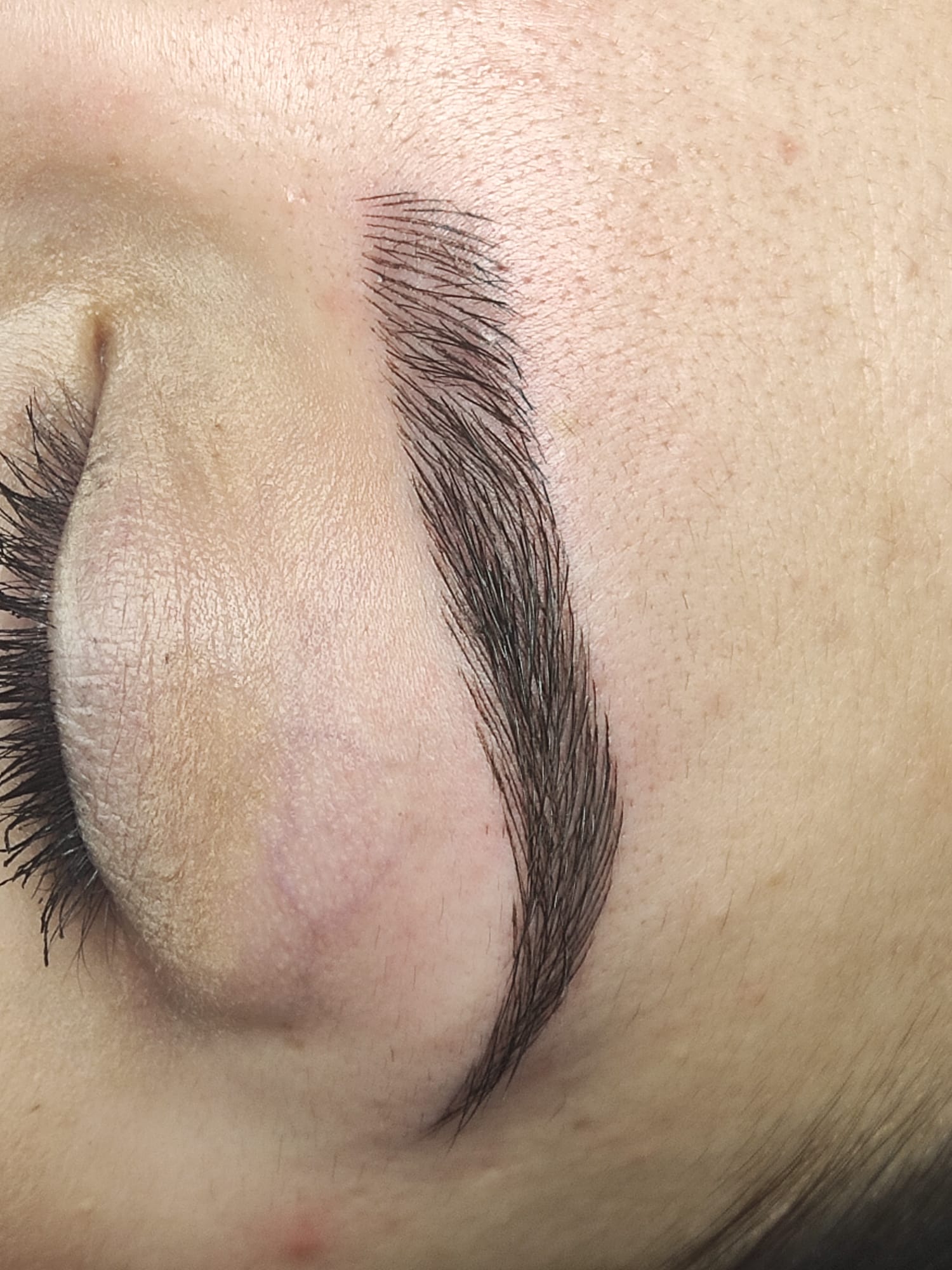 Images Dc Brows & lashes