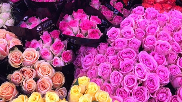Images Florahallen i Årsta AB