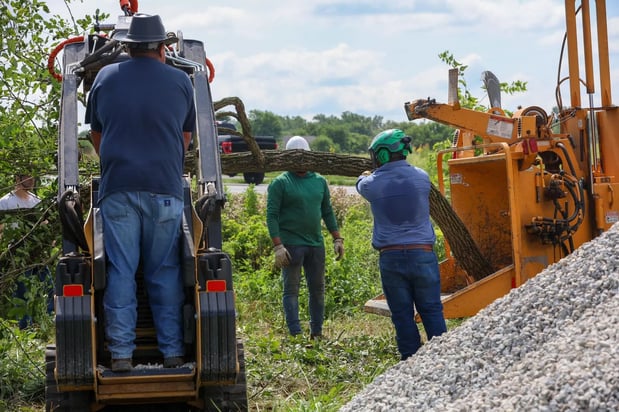 Images Brown's Tree Service LLC