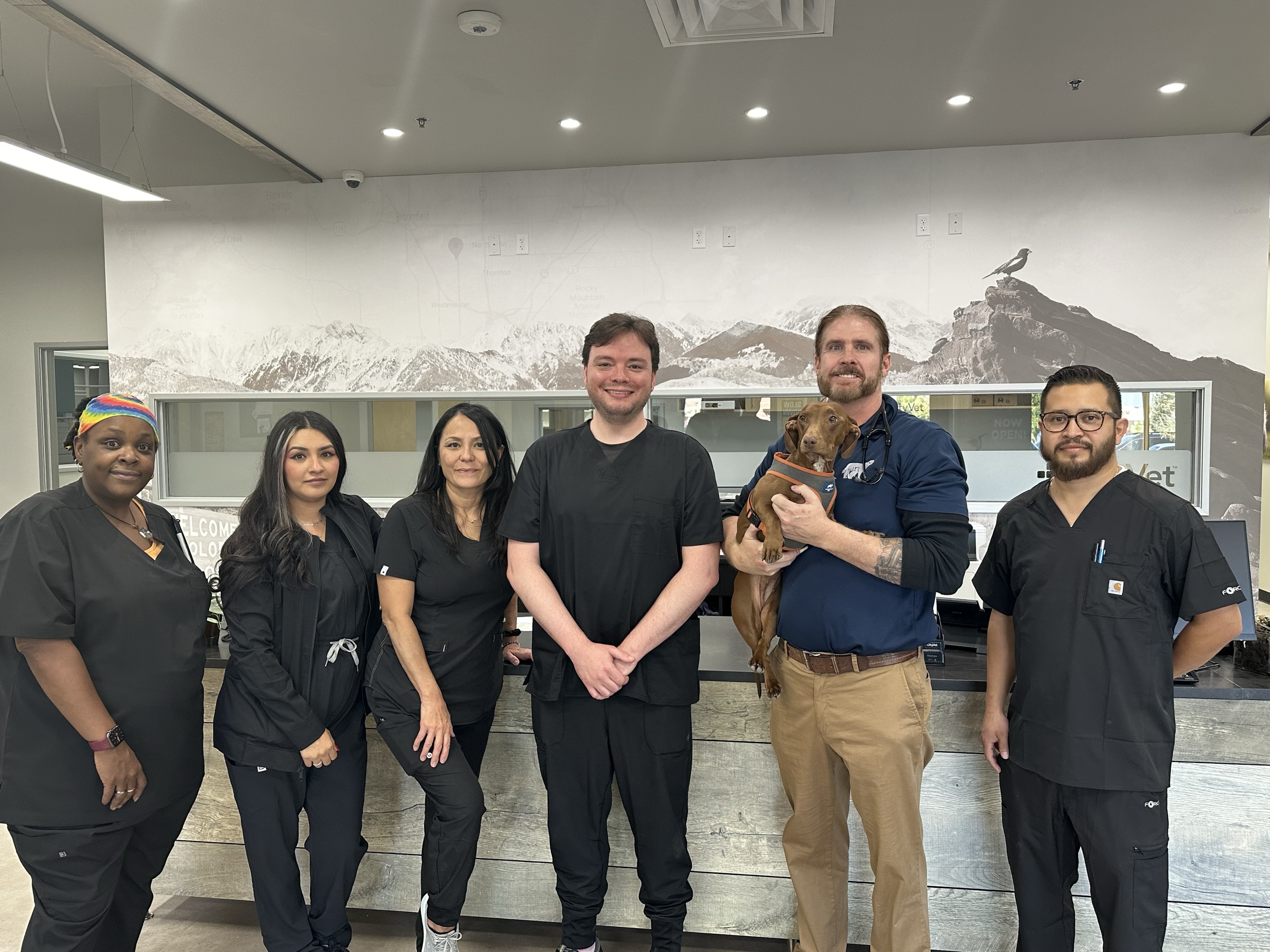 CityVet | Westminster Veterinary Clinic & Urgent Care Image