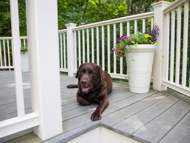 Deck Railing