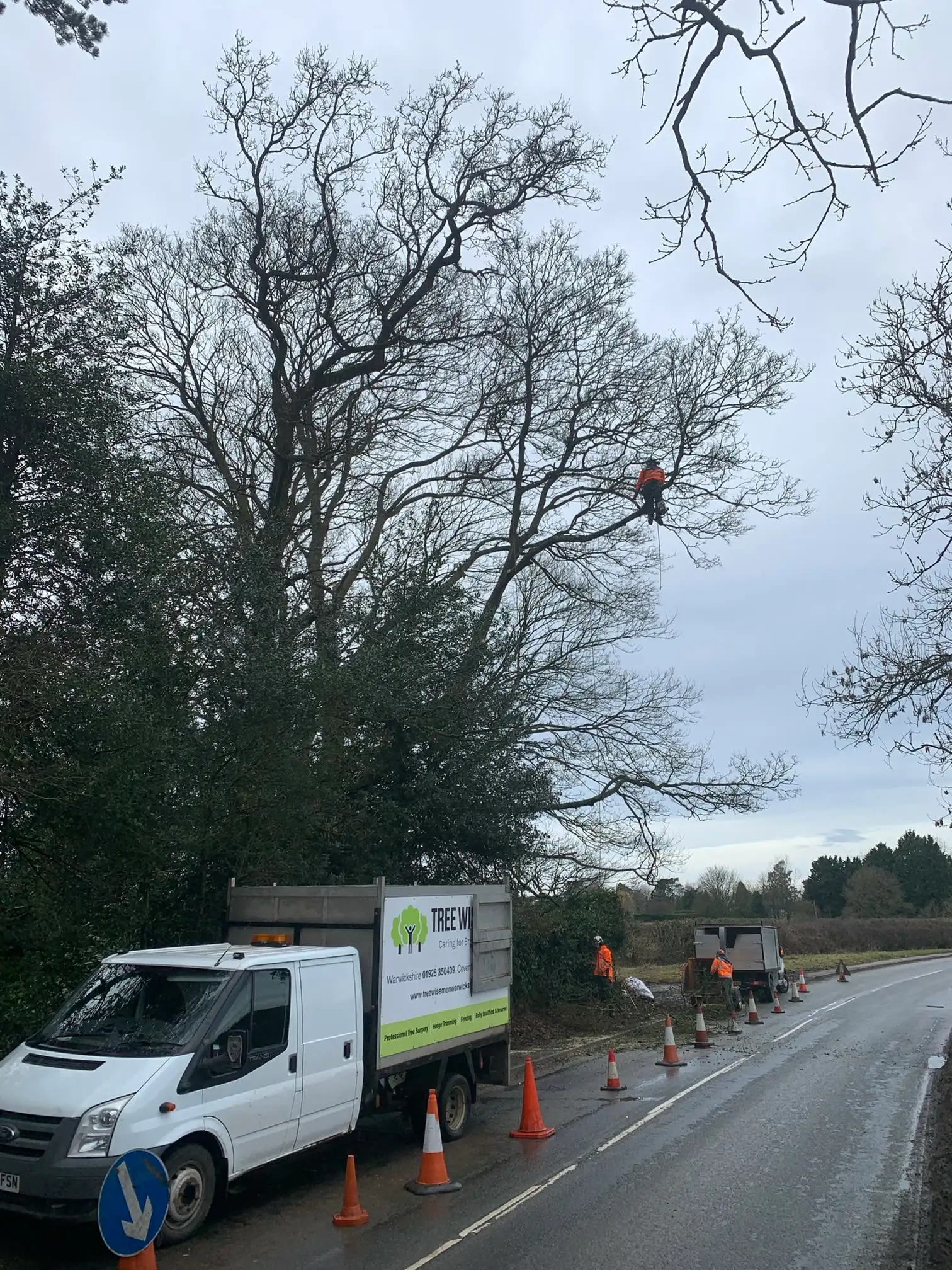 Images Tree Wise Men Warwickshire Ltd