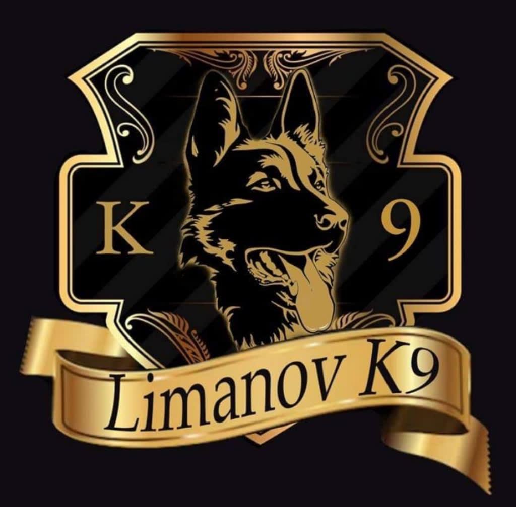 Limanov K9 Grimsby 07954 746129