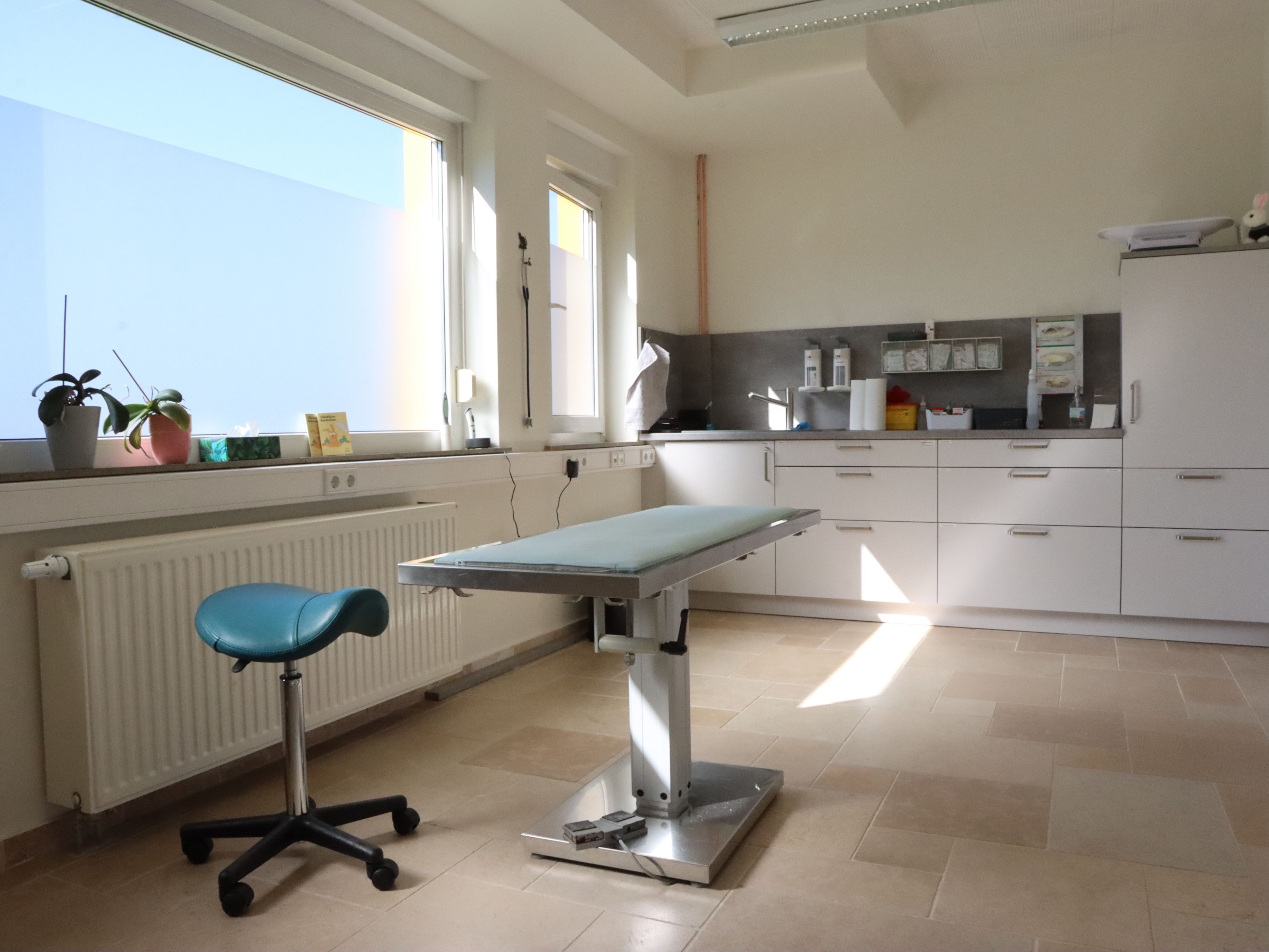 Bild 7 Tierarzt Warburg, Tiergesundheitszentrum Warburg in Warburg