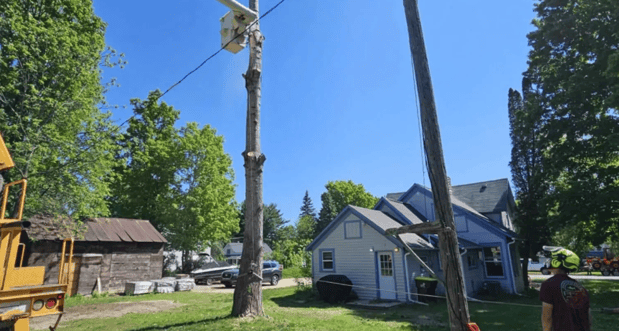 Images Stuckman Tree Service South