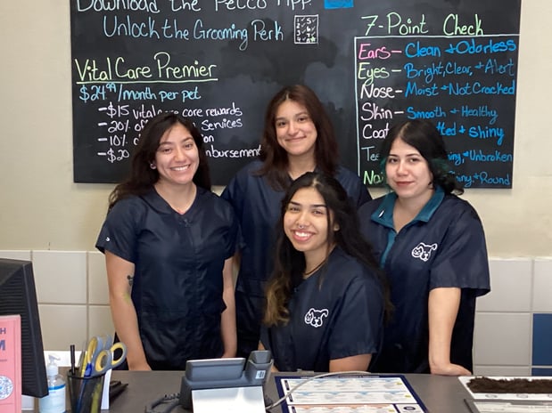 Images Petco Grooming