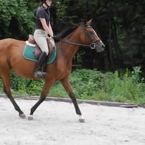 Center Peace Farm Image