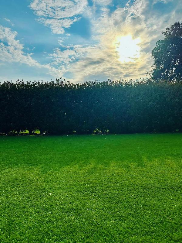 Images Green Elite - Prati sintetici Milano