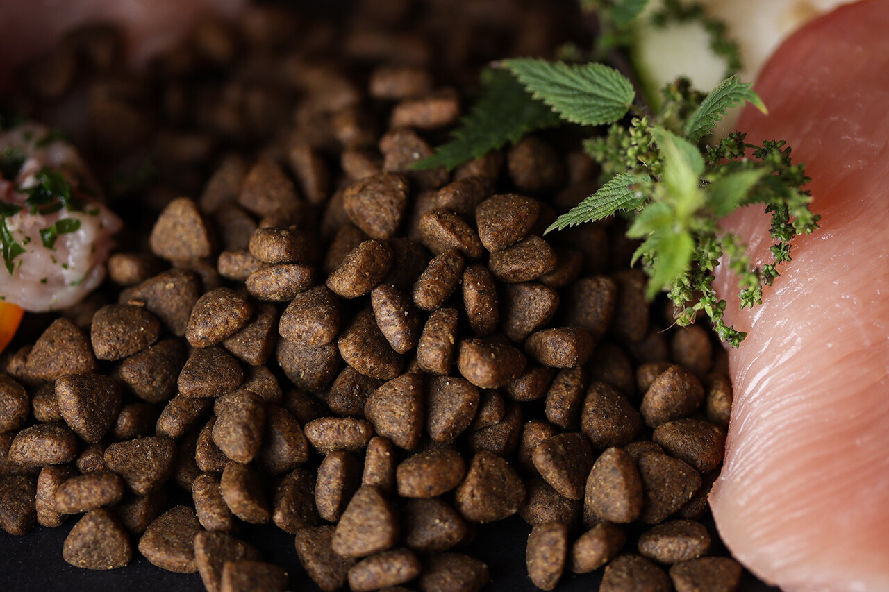 Bilder Green Pet Shop