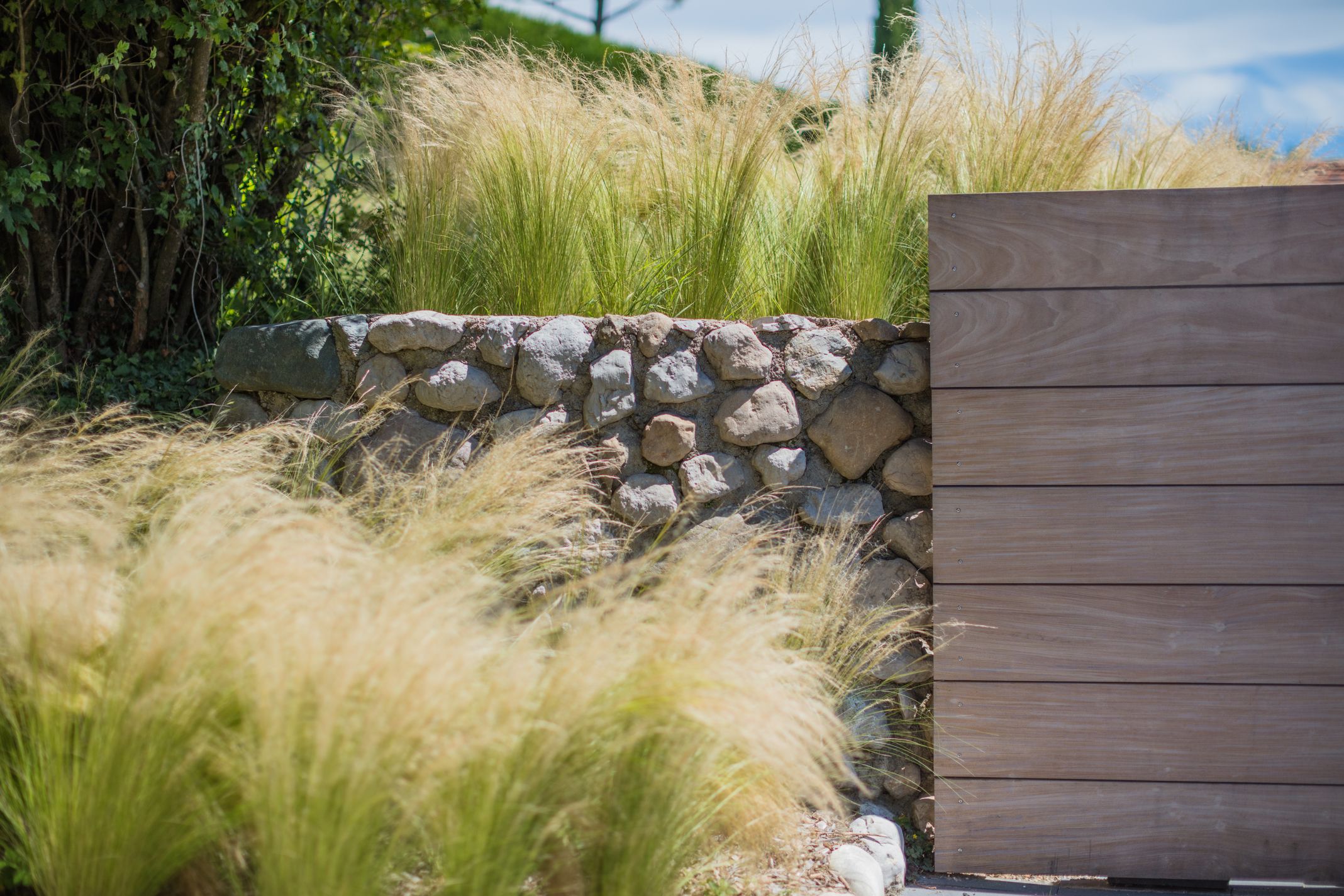 Bilder Taïga, Inspiration Nature SA