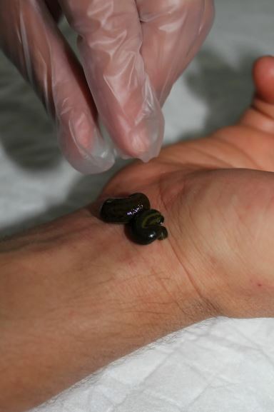 Eugen Müller & Irina Schulz - Heilpraktiker Praxisgemeinschaft, Hans-Hinrichs-Strasse 64 in Detmold