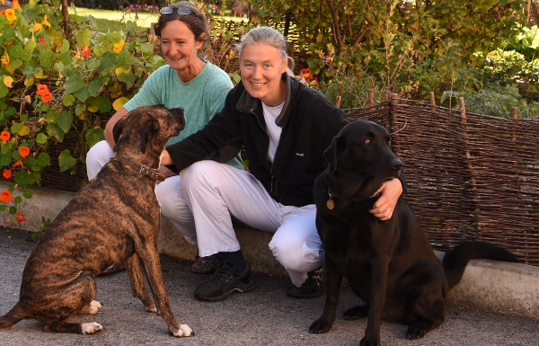 Dr. med. vet. Roswitha Hofmann, Andechsstraße 48/8 in Innsbruck