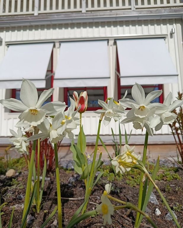 Images Rumskoncept Umeå AB - Inredningsdesign och Trädgårdsdesign