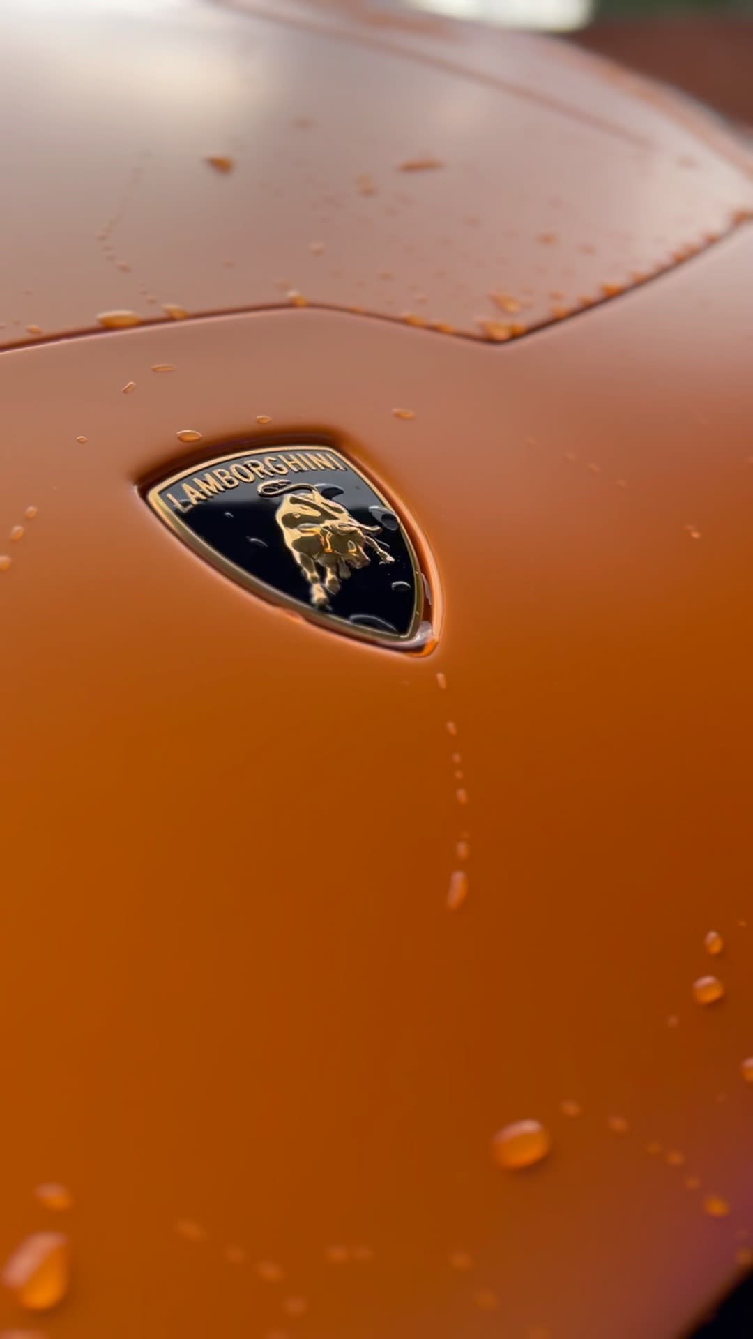 Images Proshine Detailing Ltd