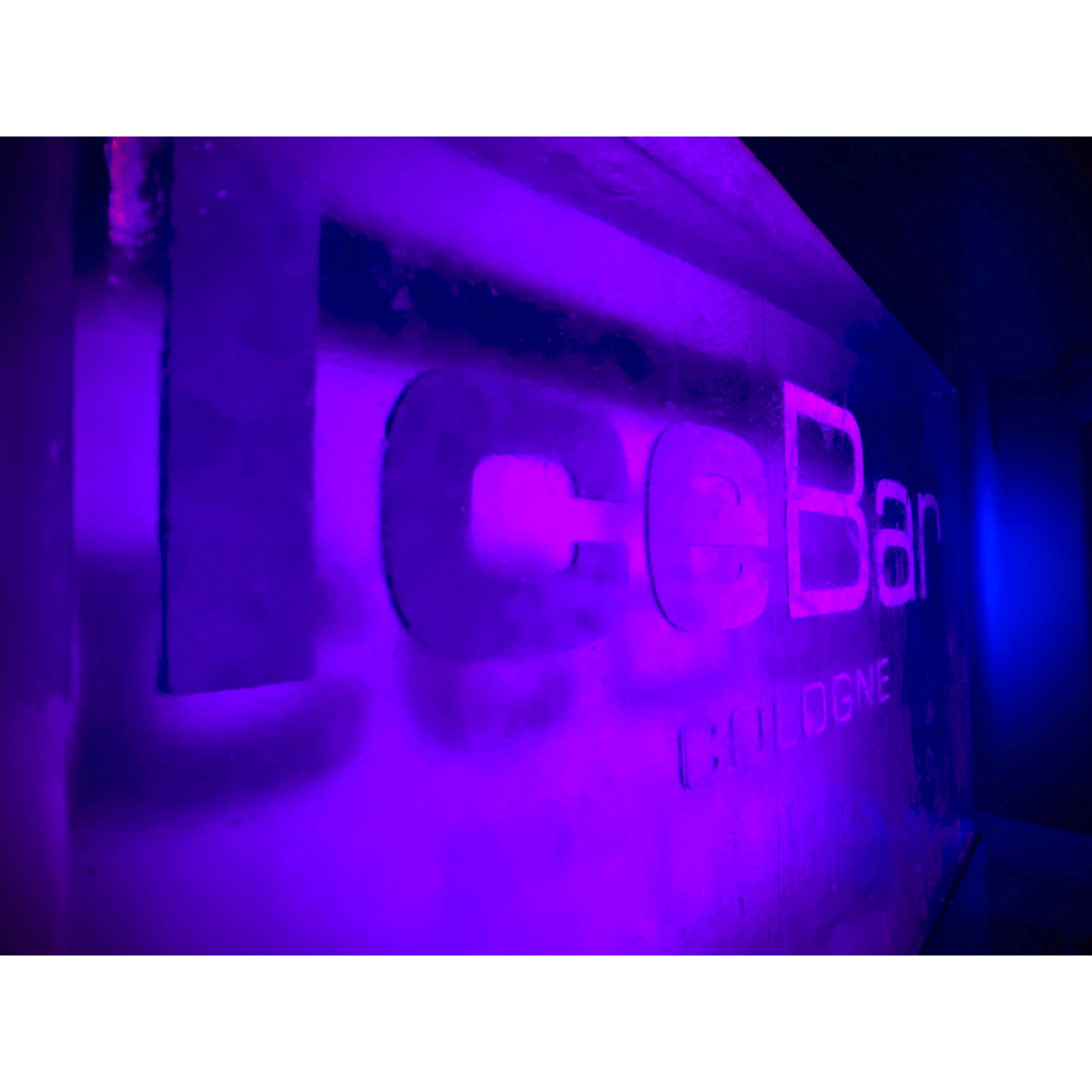 Bild zu IceBar Cologne in Köln
