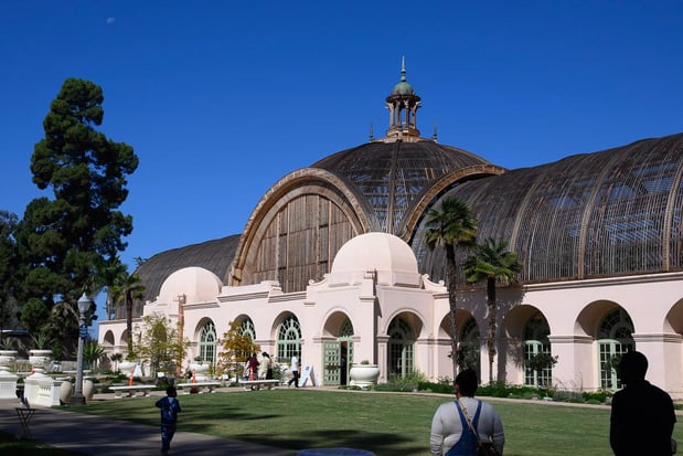 Images My Canvas Portraits