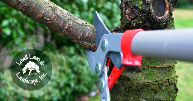 Images Lovell Lawn & Landscape Inc.