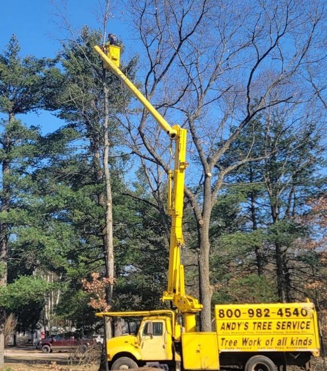 Images Andy's Tree Service