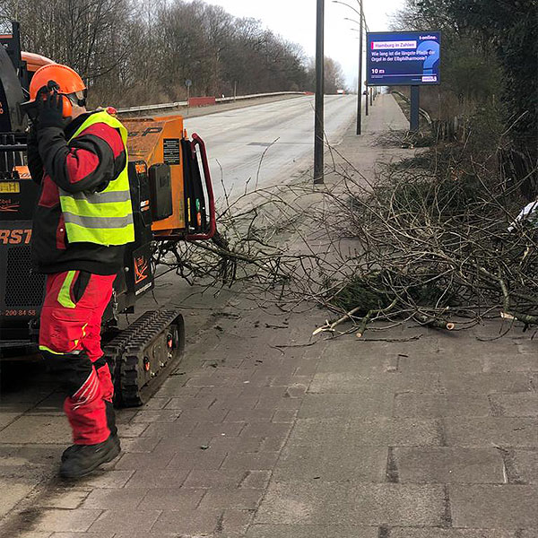 Bild 1 Zibell-Ihre Baumprofis! in Geesthacht