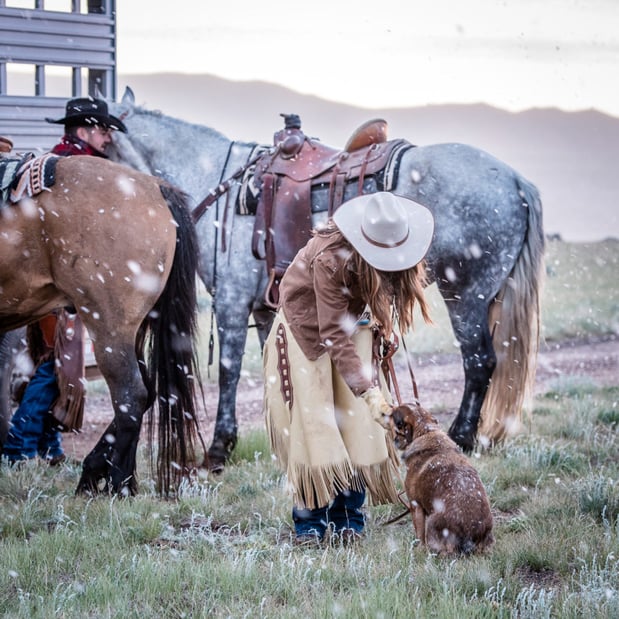 Images CM Ranch