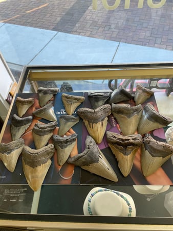 Images Gem Adventures Jewelers & Rock Shop