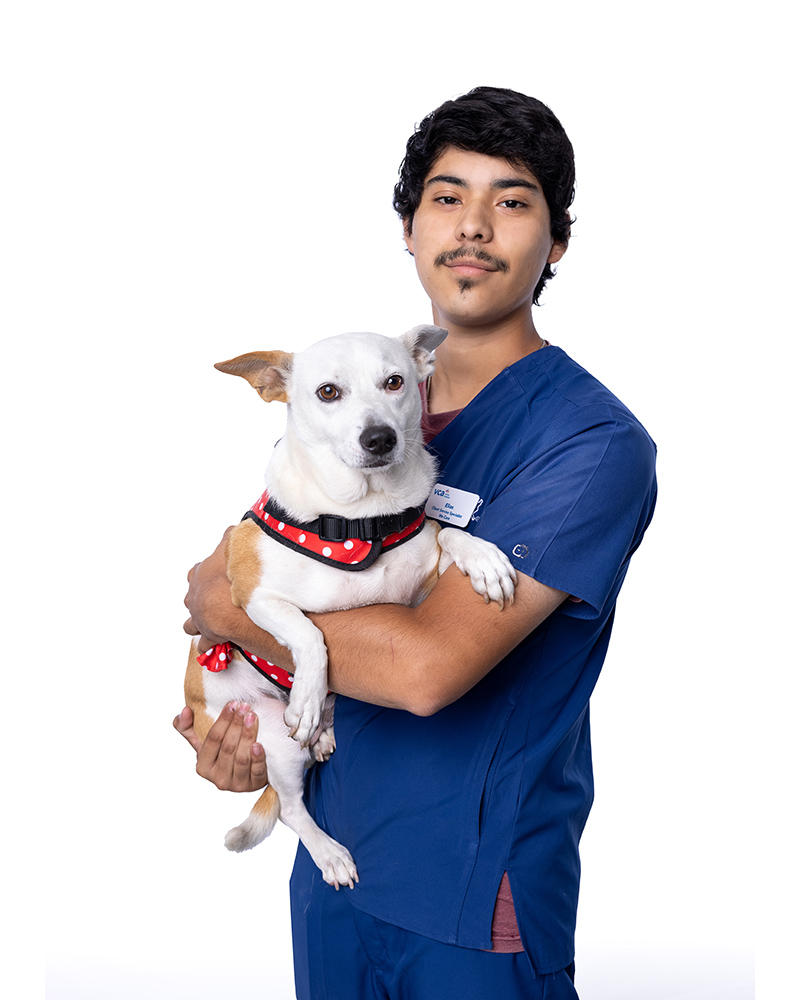 Image 7 | VCA Health Associates Animal Hospital