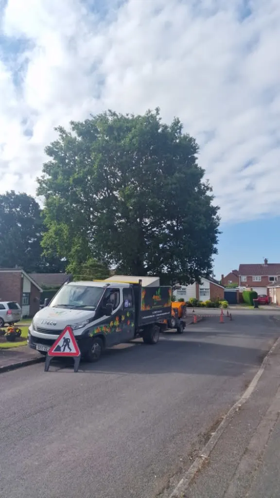 Images Arborex Tree Specialists Ltd
