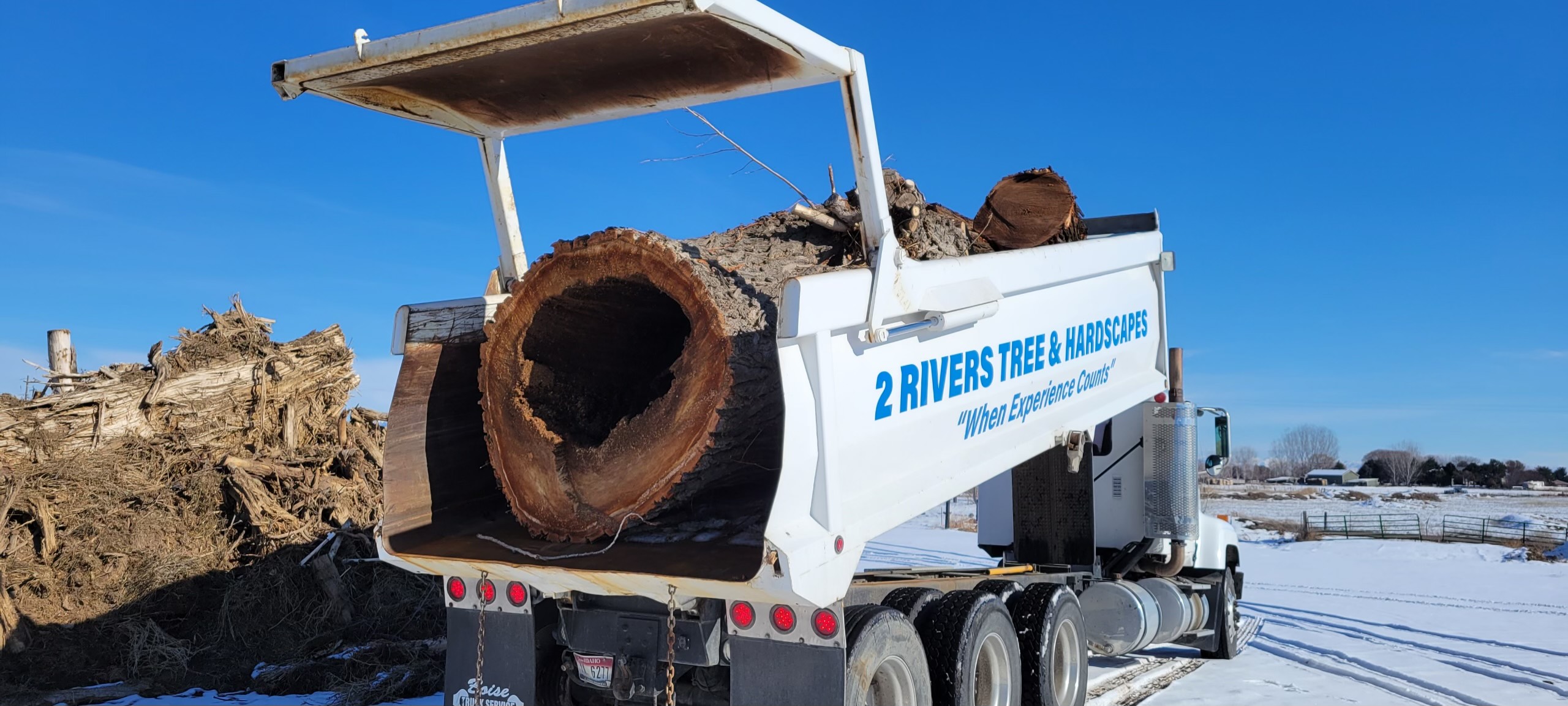 Hazardous Tree Removal Boise & Meridian, ID | Emergency Tree Experts