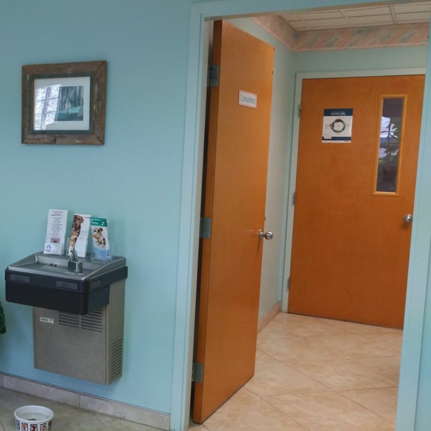 Images North Collier Animal Clinic