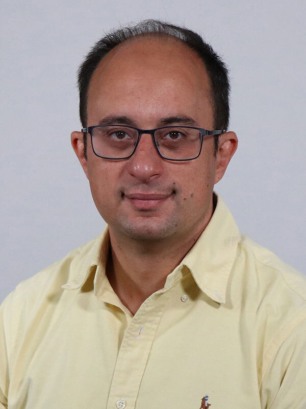 Ahmed S Ibrahim