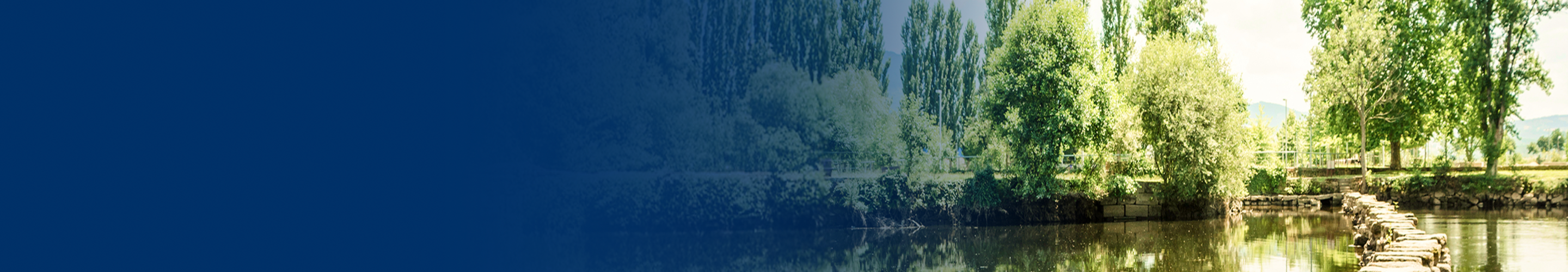 Stone path over a pond in the middle of a tree-lined park.