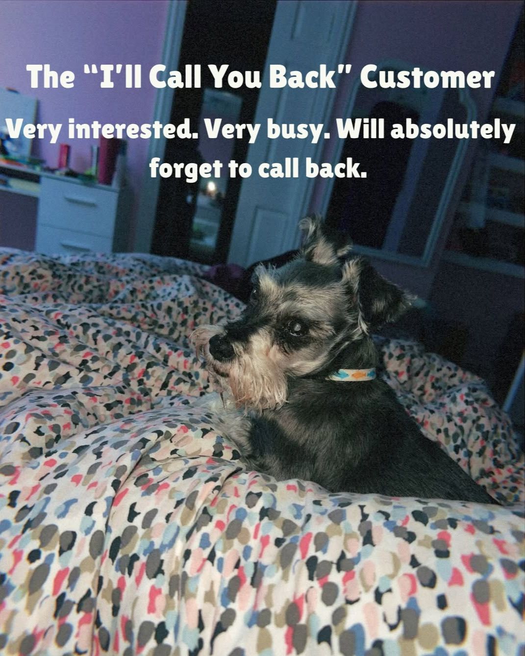 Our dogs have VERY different personalities, so naturally, they have different insurance personalitie 