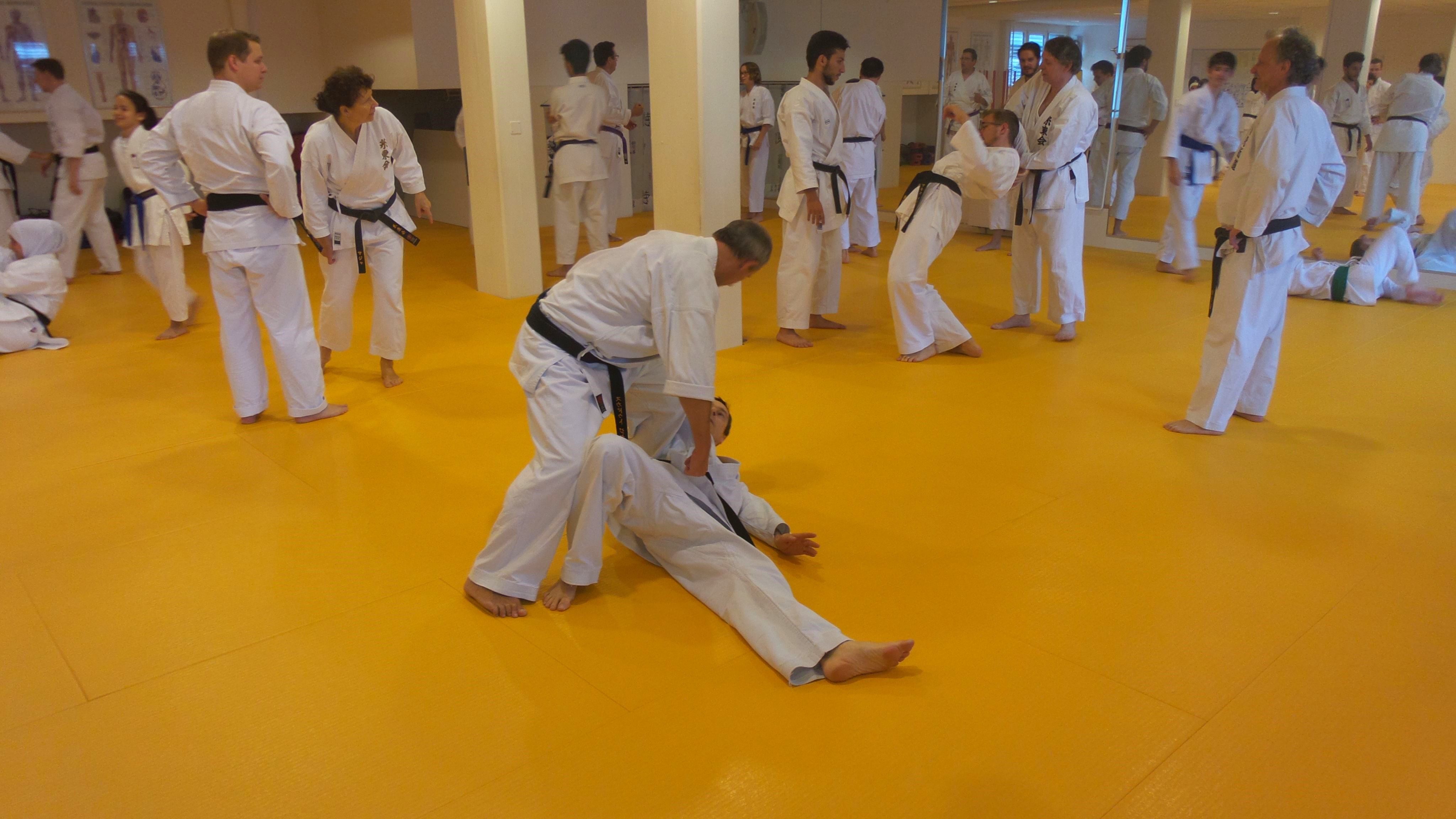 Bilder Shitokai Karateschule