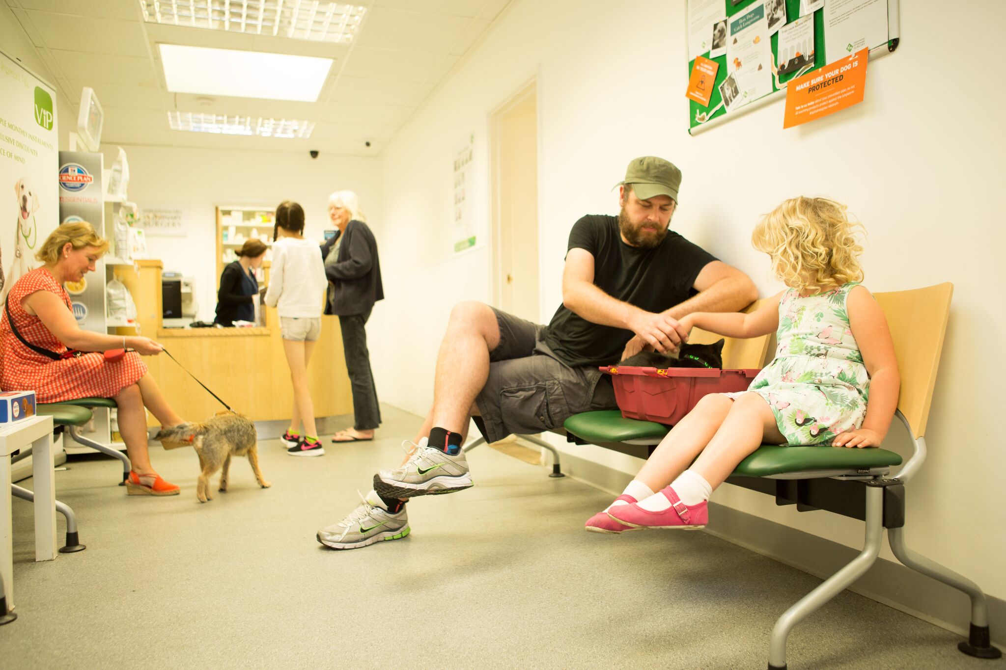 Images Streatham Hill Veterinary Surgery