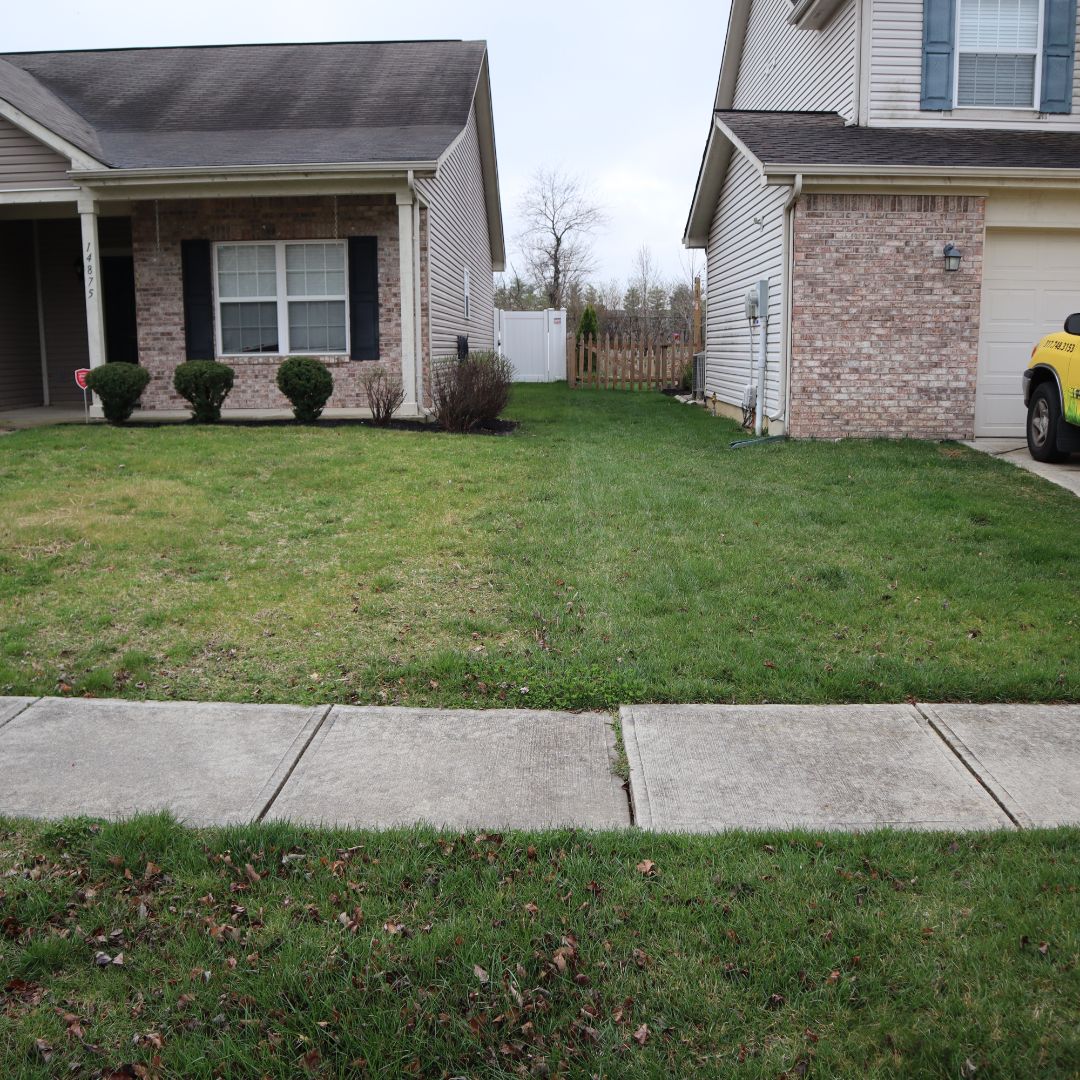 Blue Duck Lawn Care Image