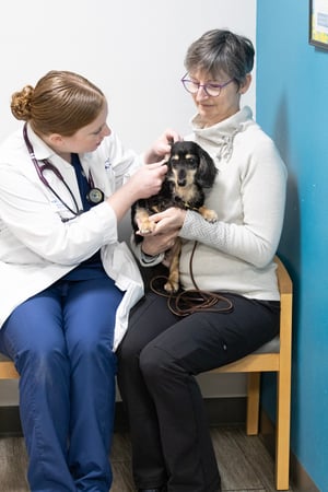 Images VCA Marshalltown Animal Hospital - CLOSED