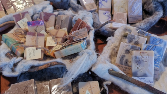 Bilder Beckers SchaZiLa