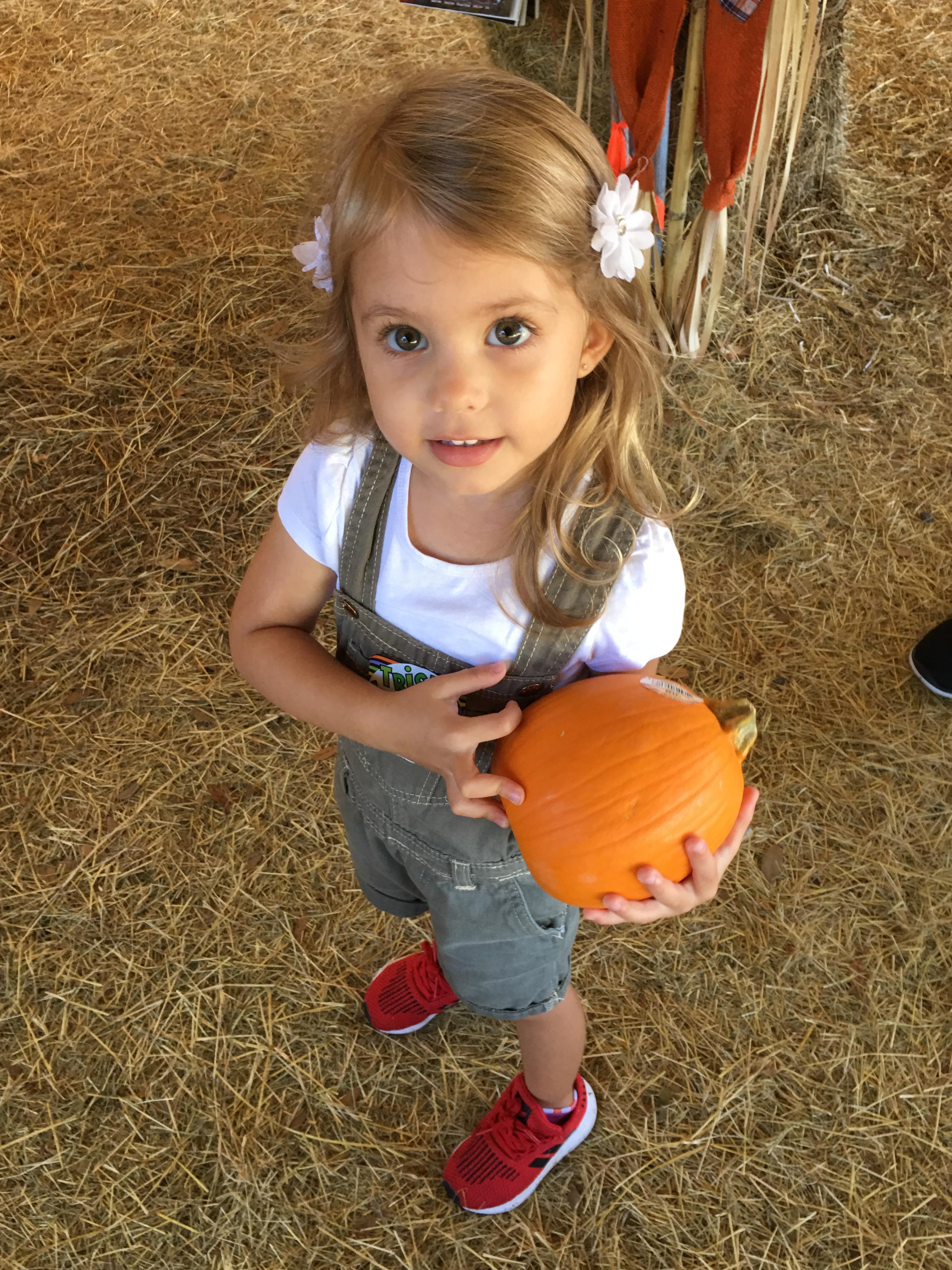 Cute girl with pie pumpkin