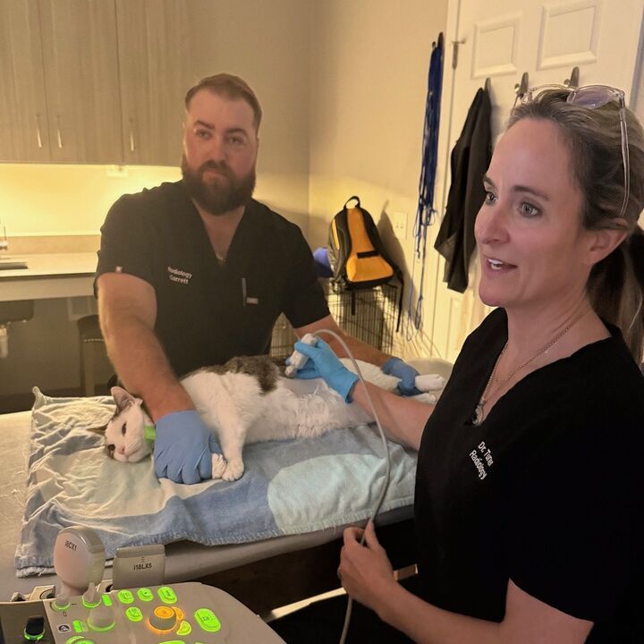 Images Carolina Veterinary Mobile Radiology  Inc