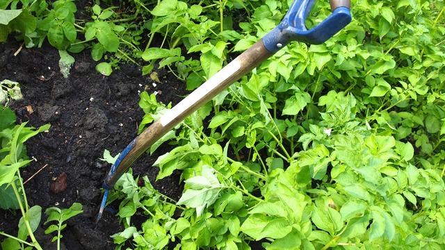 Images Flemming Pedersen Anlægsgartner ApS